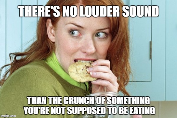THERE'S NO LOUDER SOUND; THAN THE CRUNCH OF SOMETHING YOU'RE NOT SUPPOSED TO BE EATING | made w/ Imgflip meme maker