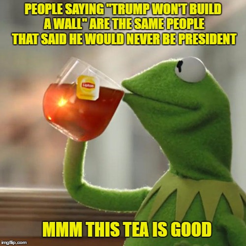 But That's None Of My Business | PEOPLE SAYING "TRUMP WON'T BUILD A WALL" ARE THE SAME PEOPLE THAT SAID HE WOULD NEVER BE PRESIDENT; MMM THIS TEA IS GOOD | image tagged in memes,but thats none of my business,kermit the frog | made w/ Imgflip meme maker
