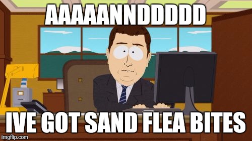 Aaaaand Its Gone | AAAAANNDDDDD; IVE GOT SAND FLEA BITES | image tagged in memes,aaaaand its gone | made w/ Imgflip meme maker