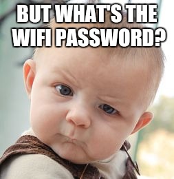 Skeptical Baby Meme | BUT WHAT'S THE WIFI PASSWORD? | image tagged in memes,skeptical baby | made w/ Imgflip meme maker