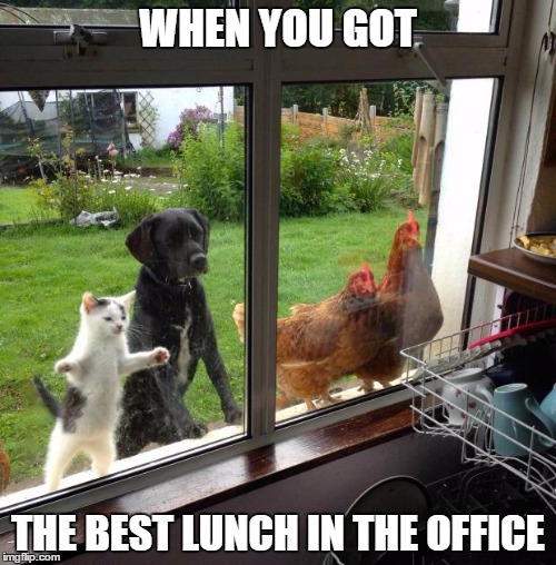 25 Best Lunch At Work Memes Organization Memes Co Workers Memes - Vrogue