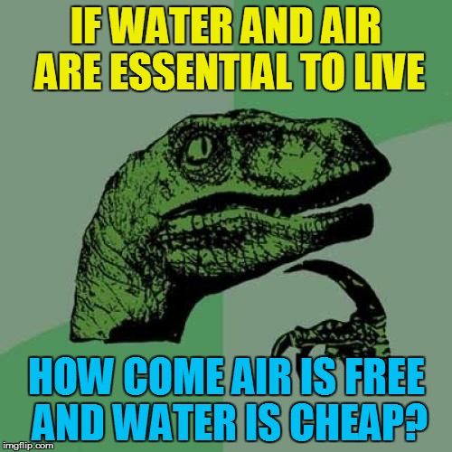 Philosoraptor | IF WATER AND AIR ARE ESSENTIAL TO LIVE; HOW COME AIR IS FREE AND WATER IS CHEAP? | image tagged in memes,philosoraptor | made w/ Imgflip meme maker