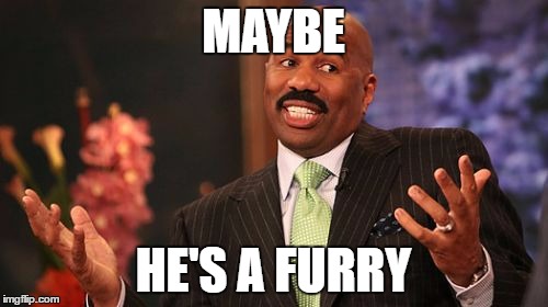 MAYBE HE'S A FURRY | image tagged in memes,steve harvey | made w/ Imgflip meme maker