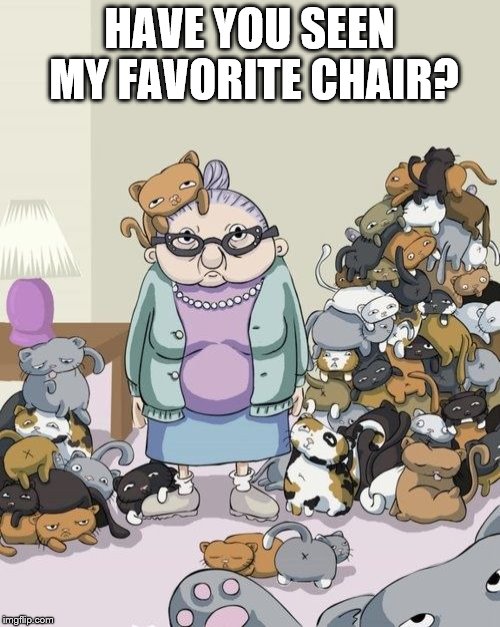 HAVE YOU SEEN MY FAVORITE CHAIR? | made w/ Imgflip meme maker
