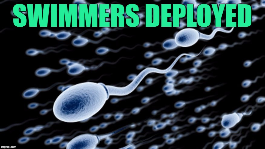 SWIMMERS DEPLOYED | made w/ Imgflip meme maker