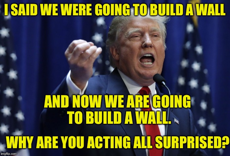 DO YOU NOT HEAR THE WORDS COMING OUT OF MY MOUTH? | I SAID WE WERE GOING TO BUILD A WALL; AND NOW WE ARE GOING TO BUILD A WALL. WHY ARE YOU ACTING ALL SURPRISED? | image tagged in trump | made w/ Imgflip meme maker