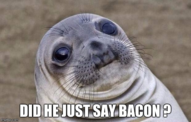 Awkward Moment Sealion | DID HE JUST SAY BACON ? | image tagged in memes,awkward moment sealion | made w/ Imgflip meme maker