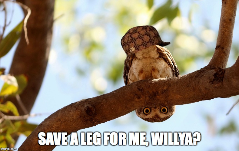 watching the vultures... | SAVE A LEG FOR ME, WILLYA? | image tagged in goofy owl | made w/ Imgflip meme maker