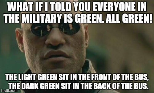 Matrix Morpheus Meme | WHAT IF I TOLD YOU EVERYONE IN THE MILITARY IS GREEN. ALL GREEN! THE LIGHT GREEN SIT IN THE FRONT OF THE BUS,  THE DARK GREEN SIT IN THE BAC | image tagged in memes,matrix morpheus | made w/ Imgflip meme maker