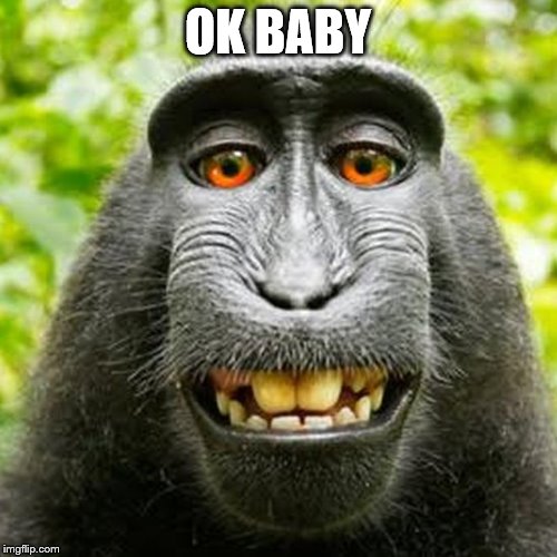 Monkey | OK BABY | image tagged in monkey | made w/ Imgflip meme maker