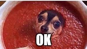 Sauce it up pupper | OK | image tagged in sauce it up pupper | made w/ Imgflip meme maker