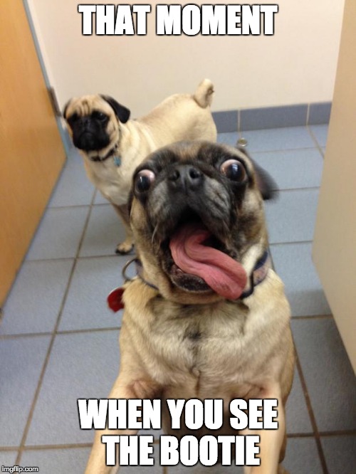 pug love | THAT MOMENT; WHEN YOU SEE THE BOOTIE | image tagged in pug love | made w/ Imgflip meme maker