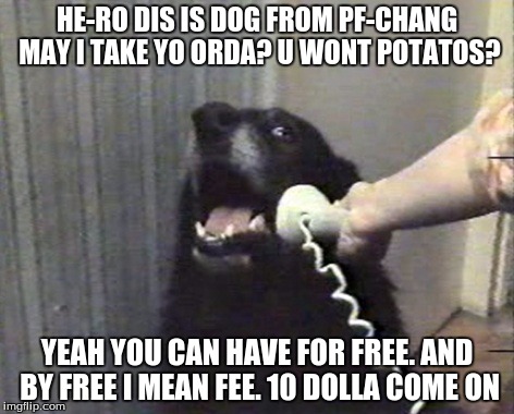 hello this is dog | HE-RO DIS IS DOG FROM PF-CHANG MAY I TAKE YO ORDA? U WONT POTATOS? YEAH YOU CAN HAVE FOR FREE. AND BY FREE I MEAN FEE. 10 DOLLA COME ON | image tagged in hello this is dog | made w/ Imgflip meme maker