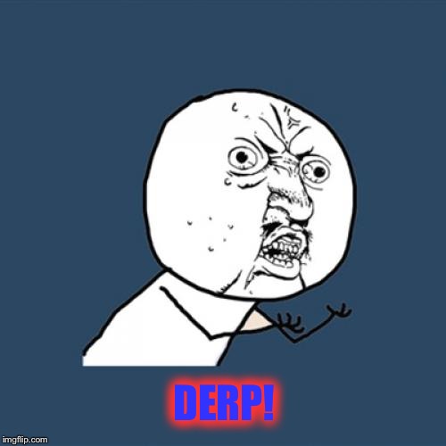 Y U No | DERP! | image tagged in memes,y u no | made w/ Imgflip meme maker