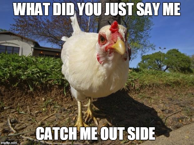 chickens | WHAT DID YOU JUST SAY ME; CATCH ME OUT SIDE | image tagged in chickens,catch me outside | made w/ Imgflip meme maker