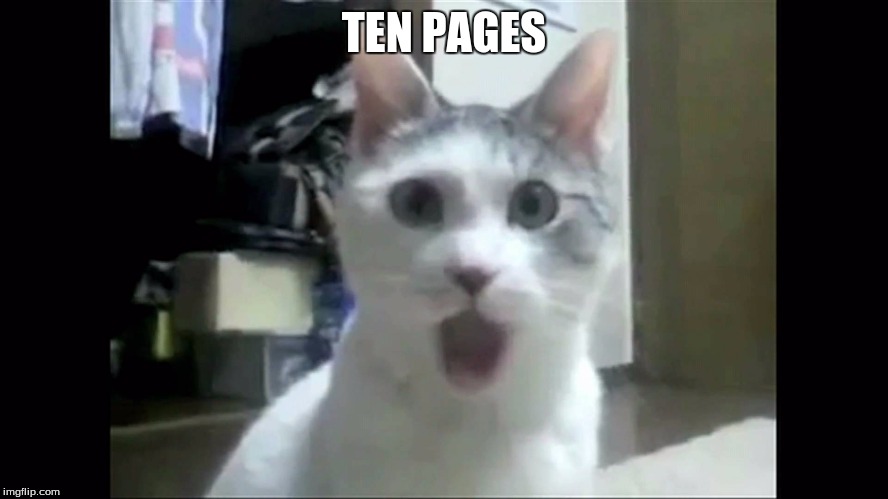 TEN PAGES | made w/ Imgflip meme maker