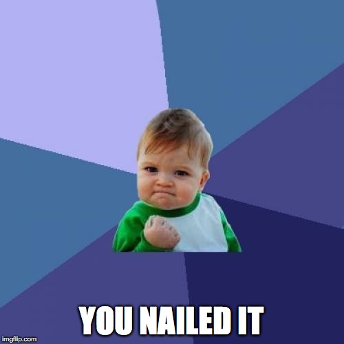 Success Kid Meme | YOU NAILED IT | image tagged in memes,success kid | made w/ Imgflip meme maker