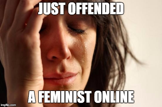 First World Problems Meme | JUST OFFENDED A FEMINIST ONLINE | image tagged in memes,first world problems | made w/ Imgflip meme maker