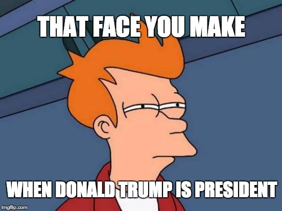 Futurama Fry | THAT FACE YOU MAKE; WHEN DONALD TRUMP IS PRESIDENT | image tagged in memes,futurama fry | made w/ Imgflip meme maker