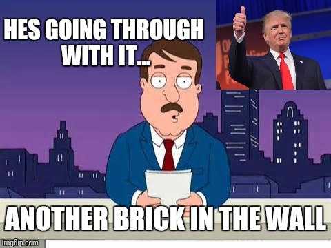 The Wall | HES GOING THROUGH WITH IT... ANOTHER BRICK IN THE WALL | image tagged in family guy tom,donald trump,trump wall,build a wall,usa,family guy | made w/ Imgflip meme maker