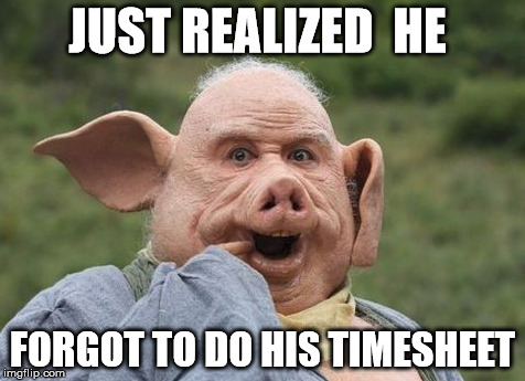 Feed The Pig | JUST REALIZED  HE; FORGOT TO DO HIS TIMESHEET | image tagged in timesheet reminder,timesheet meme,pigboy,porkbutt,pork the other white meat | made w/ Imgflip meme maker