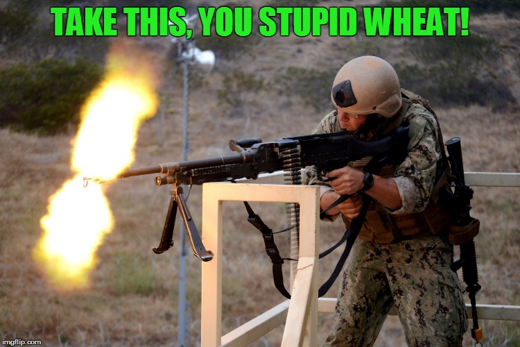 TAKE THIS, YOU STUPID WHEAT! | made w/ Imgflip meme maker