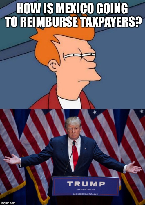 But really, how, | HOW IS MEXICO GOING TO REIMBURSE TAXPAYERS? | image tagged in futurama fry,donald trump | made w/ Imgflip meme maker