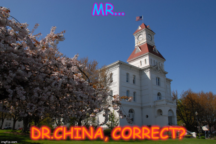 Ehh, man. | MR... DR.CHINA, CORRECT? | image tagged in dr china,mr,china | made w/ Imgflip meme maker