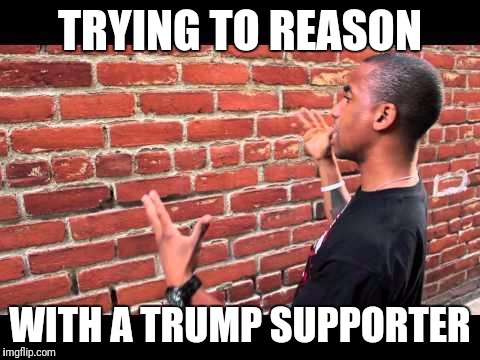 Brick wall guy | TRYING TO REASON; WITH A TRUMP SUPPORTER | image tagged in brick wall guy | made w/ Imgflip meme maker