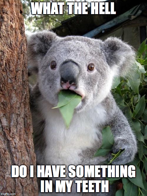Surprised Koala | WHAT THE HELL; DO I HAVE SOMETHING IN MY TEETH | image tagged in memes,surprised koala | made w/ Imgflip meme maker