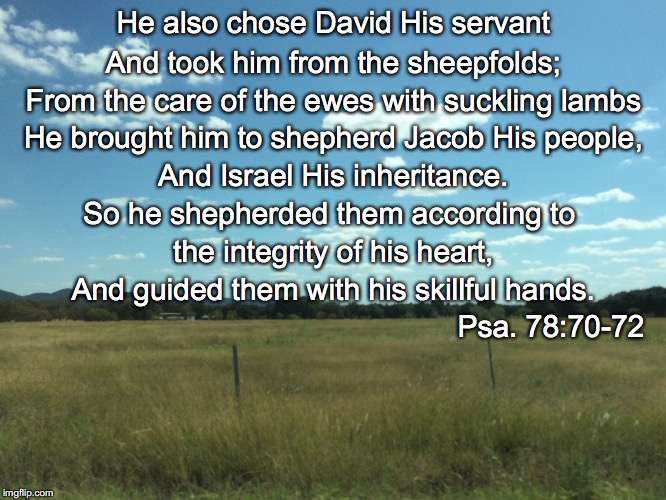 He also chose David His servant; And took him from the sheepfolds;; From the care of the ewes with suckling lambs; He brought him to shepherd Jacob His people, And Israel His inheritance. So he shepherded them according to; the integrity of his heart, And guided them with his skillful hands. Psa. 78:70-72 | image tagged in shepherd | made w/ Imgflip meme maker
