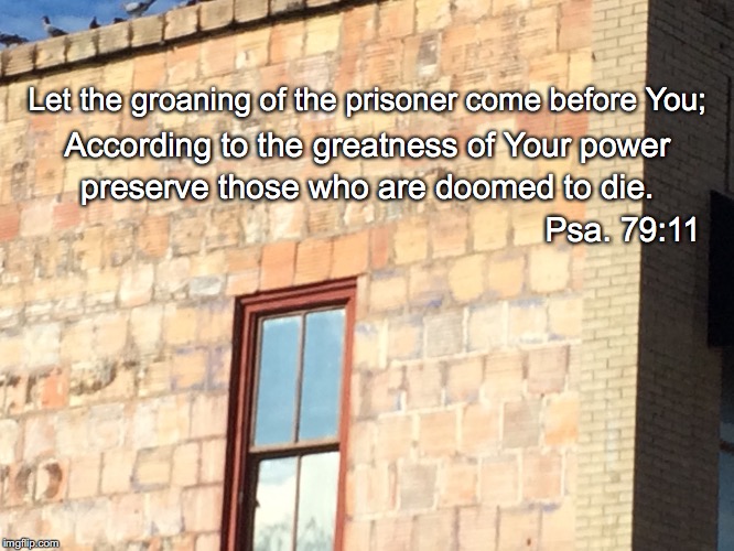 Let the groaning of the prisoner come before You;; According to the greatness of Your power; preserve those who are doomed to die. Psa. 79:11 | image tagged in prisoner | made w/ Imgflip meme maker