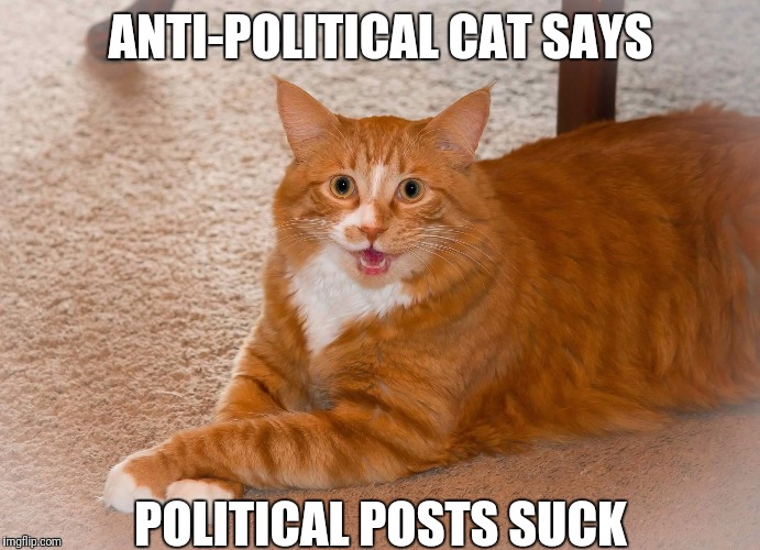 Anti-Political Cat | ANTI-POLITICAL CAT SAYS; POLITICAL POSTS SUCK | image tagged in happy cat,funny,memes,politics,political | made w/ Imgflip meme maker