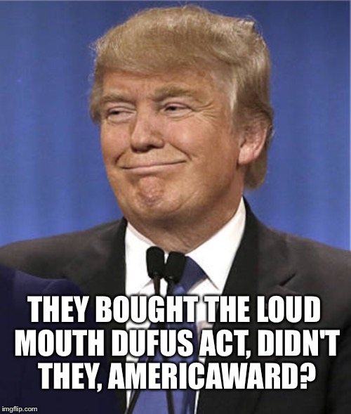 Don't you America | THEY BOUGHT THE LOUD MOUTH DUFUS ACT, DIDN'T THEY, AMERICAWARD? | image tagged in don't you america | made w/ Imgflip meme maker