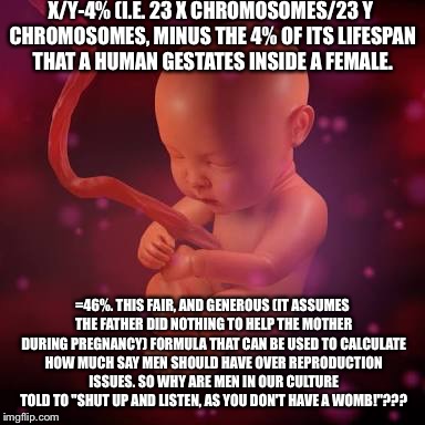 Foetus | X/Y-4% (I.E. 23 X CHROMOSOMES/23 Y CHROMOSOMES, MINUS THE 4% OF ITS LIFESPAN THAT A HUMAN GESTATES INSIDE A FEMALE. =46%. THIS FAIR, AND GENEROUS (IT ASSUMES THE FATHER DID NOTHING TO HELP THE MOTHER DURING PREGNANCY) FORMULA THAT CAN BE USED TO CALCULATE HOW MUCH SAY MEN SHOULD HAVE OVER REPRODUCTION ISSUES. SO WHY ARE MEN IN OUR CULTURE TOLD TO "SHUT UP AND LISTEN, AS YOU DON'T HAVE A WOMB!"??? | image tagged in foetus | made w/ Imgflip meme maker