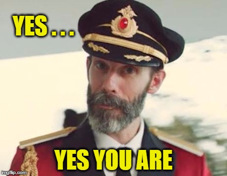 Captain Obvious | YES . . . YES YOU ARE | image tagged in captain obvious | made w/ Imgflip meme maker
