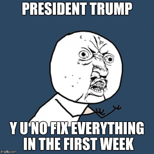 Y U No Meme | PRESIDENT TRUMP; Y U NO FIX EVERYTHING IN THE FIRST WEEK | image tagged in memes,y u no | made w/ Imgflip meme maker