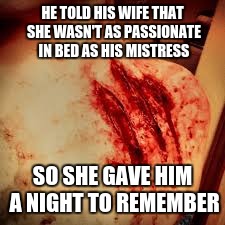 claw marks | HE TOLD HIS WIFE THAT SHE WASN'T AS PASSIONATE IN BED AS HIS MISTRESS SO SHE GAVE HIM A NIGHT TO REMEMBER | image tagged in claw marks | made w/ Imgflip meme maker