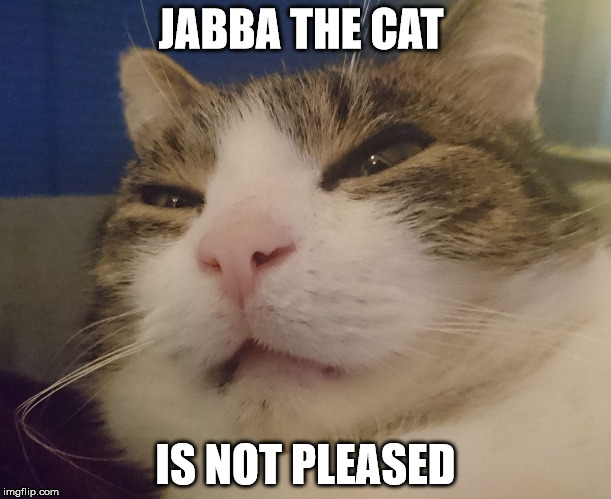 Jabba the cat | JABBA THE CAT; IS NOT PLEASED | image tagged in jabba the hutt,cat,kill you cat | made w/ Imgflip meme maker