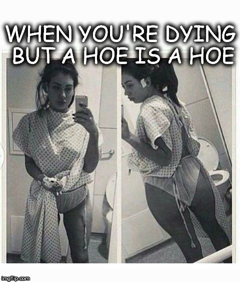 A hoe's a hoe | WHEN YOU'RE DYING BUT A HOE IS A HOE | image tagged in hoe,funny memes,funny,funny meme | made w/ Imgflip meme maker