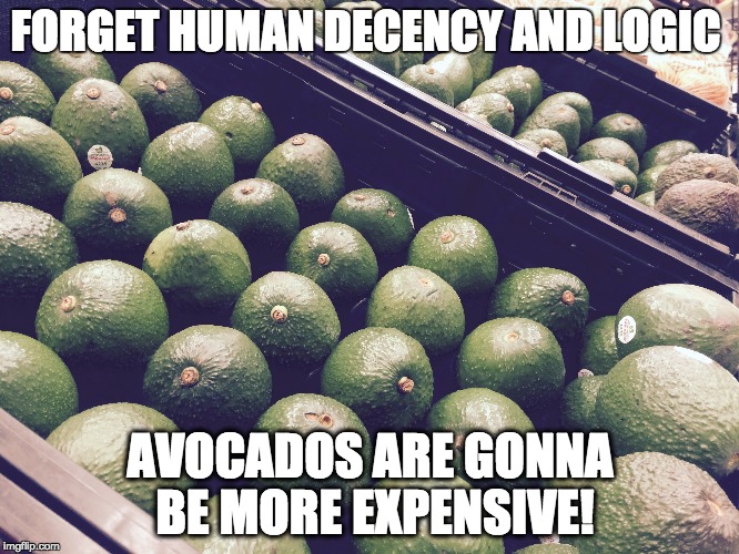 FORGET HUMAN DECENCY AND LOGIC; AVOCADOS ARE GONNA BE MORE EXPENSIVE! | made w/ Imgflip meme maker