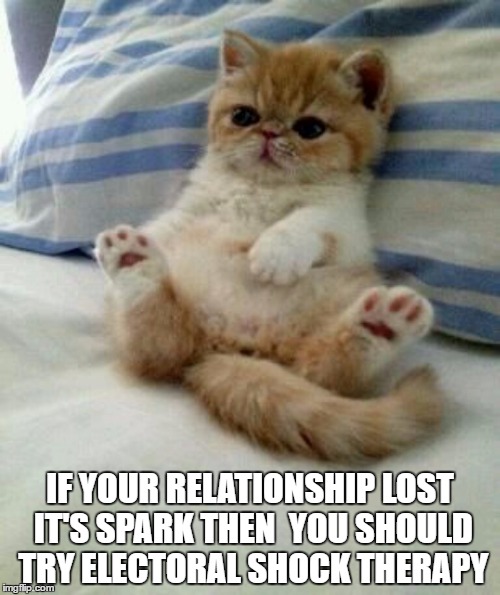 Advice cat | IF YOUR RELATIONSHIP LOST IT'S SPARK THEN  YOU SHOULD TRY ELECTORAL SHOCK THERAPY | image tagged in advice cat | made w/ Imgflip meme maker