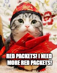 Red Packet cat | RED PACKETS! I NEED MORE RED PACKETS! | image tagged in red packets,cat,chinse new year | made w/ Imgflip meme maker