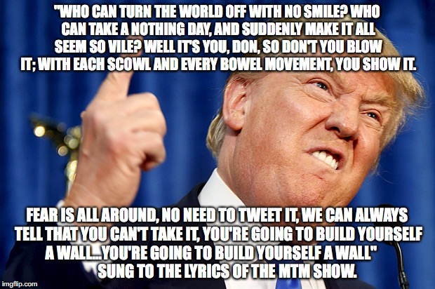 Donald Trump | "WHO CAN TURN THE WORLD OFF WITH NO SMILE? WHO CAN TAKE A NOTHING DAY, AND SUDDENLY MAKE IT ALL SEEM SO VILE? WELL IT'S YOU, DON, SO DON'T YOU BLOW IT; WITH EACH SCOWL AND EVERY BOWEL MOVEMENT, YOU SHOW IT. FEAR IS ALL AROUND, NO NEED TO TWEET IT, WE CAN ALWAYS TELL THAT YOU CAN'T TAKE IT, YOU'RE GOING TO BUILD YOURSELF A WALL...YOU'RE GOING TO BUILD YOURSELF A WALL"

                       SUNG TO THE LYRICS OF THE MTM SHOW. | image tagged in donald trump | made w/ Imgflip meme maker