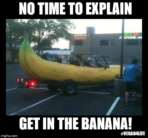 NO TIME TO EXPLAIN; GET IN THE BANANA! #VEGAN4LIFE | image tagged in funny memes,memes,vegan4life,banana | made w/ Imgflip meme maker