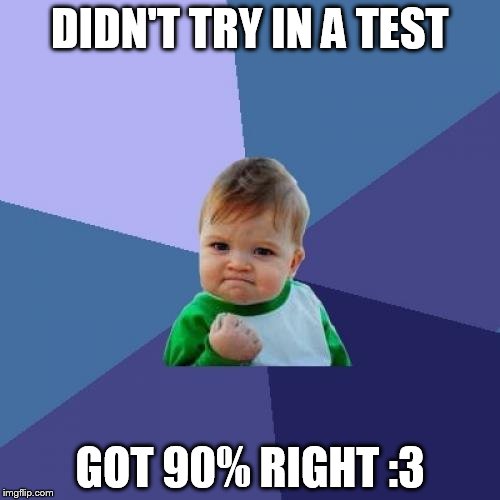 Success Kid | DIDN'T TRY IN A TEST; GOT 90% RIGHT :3 | image tagged in memes,success kid | made w/ Imgflip meme maker