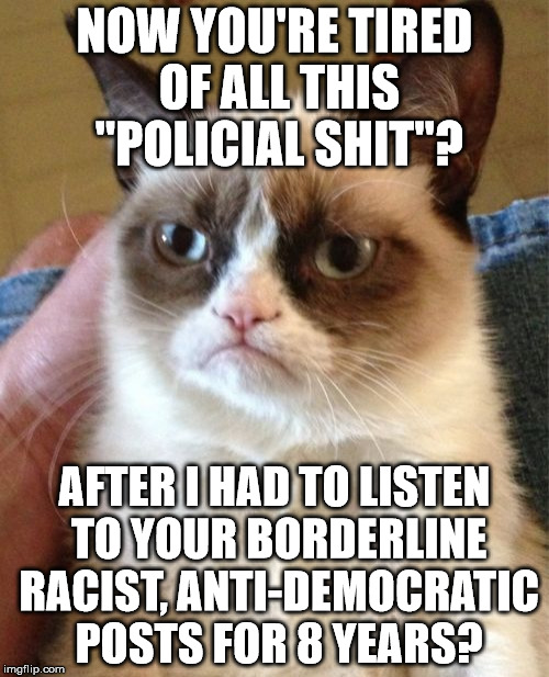 Grumpy Cat |  NOW YOU'RE TIRED OF ALL THIS "POLICIAL SHIT"? AFTER I HAD TO LISTEN TO YOUR BORDERLINE RACIST, ANTI-DEMOCRATIC POSTS FOR 8 YEARS? | image tagged in memes,grumpy cat | made w/ Imgflip meme maker