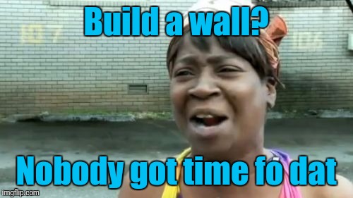 Ain't Nobody Got Time For That Meme | Build a wall? Nobody got time fo dat | image tagged in memes,aint nobody got time for that | made w/ Imgflip meme maker