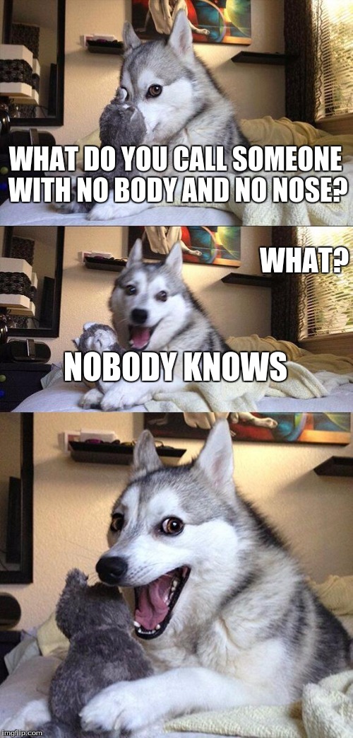 Bad Pun Dog | WHAT DO YOU CALL SOMEONE WITH NO BODY AND NO NOSE? WHAT? NOBODY KNOWS | image tagged in memes,bad pun dog | made w/ Imgflip meme maker