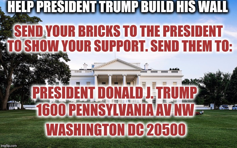 Help build the wall | HELP PRESIDENT TRUMP BUILD HIS WALL; SEND YOUR BRICKS TO THE PRESIDENT TO SHOW YOUR SUPPORT. SEND THEM TO:; PRESIDENT DONALD J. TRUMP; 1600 PENNSYLVANIA AV NW; WASHINGTON DC 20500 | image tagged in president trump,border wall,send a brick | made w/ Imgflip meme maker
